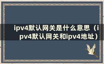 ipv4默认网关是什么意思（ipv4默认网关和ipv4地址）