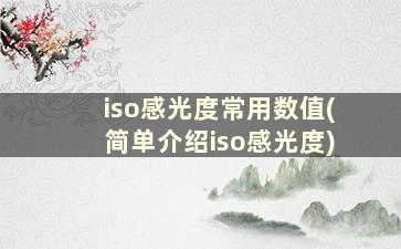 iso感光度常用数值(简单介绍iso感光度)