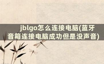 jblgo怎么连接电脑(蓝牙音箱连接电脑成功但是没声音)