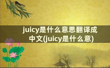 juicy是什么意思翻译成中文(juicy是什么意)