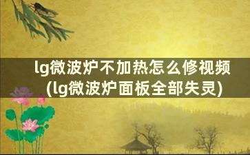 lg微波炉不加热怎么修视频(lg微波炉面板全部失灵)