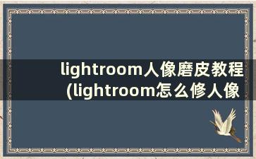 lightroom人像磨皮教程(lightroom怎么修人像皮肤)