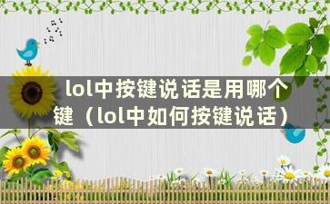 lol中按键说话是用哪个键（lol中如何按键说话）