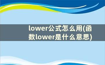 lower公式怎么用(函数lower是什么意思)