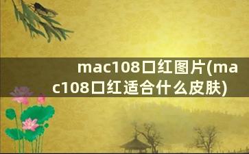 mac108口红图片(mac108口红适合什么皮肤)