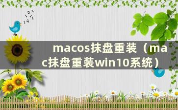 macos抹盘重装（mac抹盘重装win10系统）