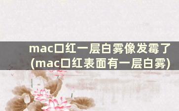 mac口红一层白雾像发霉了(mac口红表面有一层白雾)