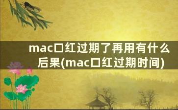 mac口红过期了再用有什么后果(mac口红过期时间)