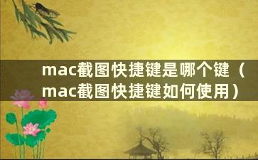 mac截图快捷键是哪个键（mac截图快捷键如何使用）