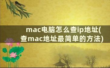 mac电脑怎么查ip地址(查mac地址最简单的方法)