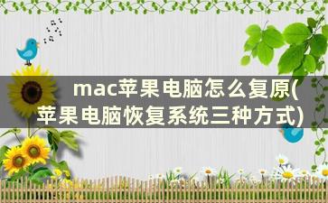 mac苹果电脑怎么复原(苹果电脑恢复系统三种方式)