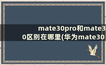 mate30pro和mate30区别在哪里(华为mate30pro和mate30pro对比)