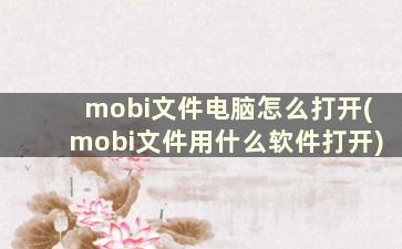 mobi文件电脑怎么打开(mobi文件用什么软件打开)