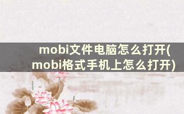 mobi文件电脑怎么打开(mobi格式手机上怎么打开)