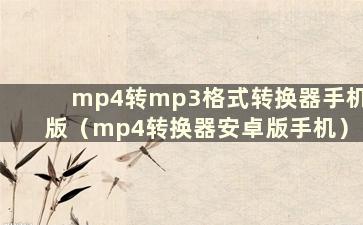 mp4转mp3格式转换器手机版（mp4转换器安卓版手机）