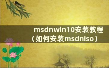 msdnwin10安装教程（如何安装msdniso）