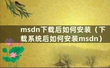 msdn下载后如何安装（下载系统后如何安装msdn）