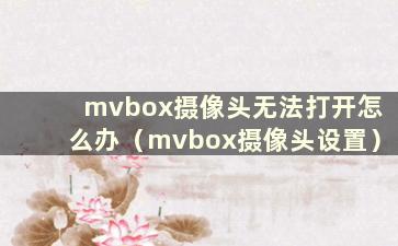 mvbox摄像头无法打开怎么办（mvbox摄像头设置）