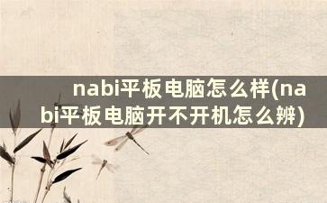 nabi平板电脑怎么样(nabi平板电脑开不开机怎么辨)