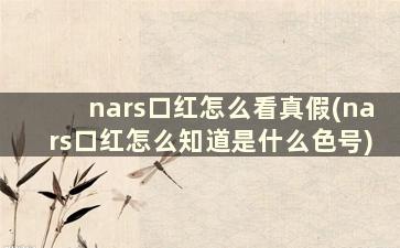 nars口红怎么看真假(nars口红怎么知道是什么色号)