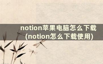 notion苹果电脑怎么下载(notion怎么下载使用)