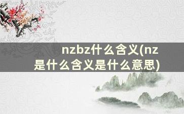 nzbz什么含义(nz是什么含义是什么意思)