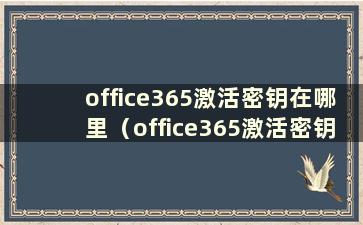 office365激活密钥在哪里（office365激活密钥）