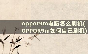 oppor9m电脑怎么刷机(OPPOR9m如何自己刷机)