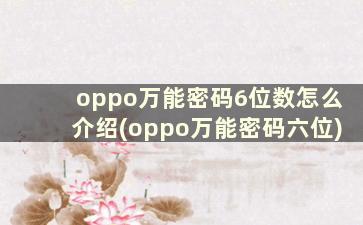 oppo万能密码6位数怎么介绍(oppo万能密码六位)