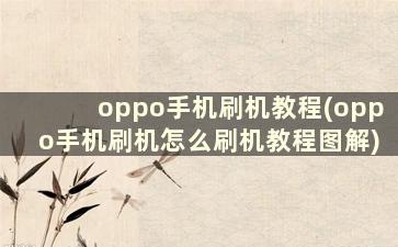 oppo手机刷机教程(oppo手机刷机怎么刷机教程图解)