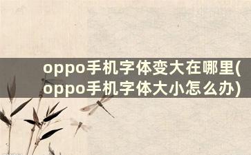 oppo手机字体变大在哪里(oppo手机字体大小怎么办)