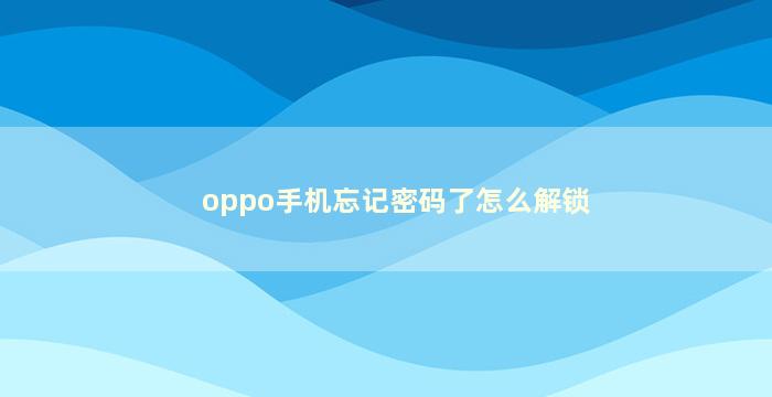 oppo手机忘记密码了怎么解锁