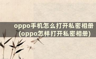 oppo手机怎么打开私密相册(oppo怎样打开私密相册)