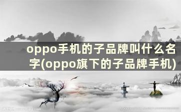 oppo手机的子品牌叫什么名字(oppo旗下的子品牌手机)