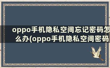 oppo手机隐私空间忘记密码怎么办(oppo手机隐私空间密码忘记了咋找回)