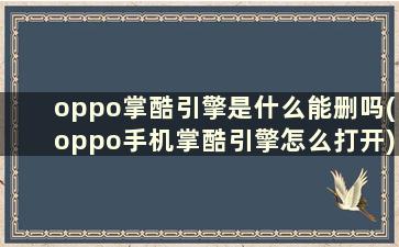 oppo掌酷引擎是什么能删吗(oppo手机掌酷引擎怎么打开)