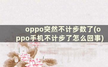 oppo突然不计步数了(oppo手机不计步了怎么回事)