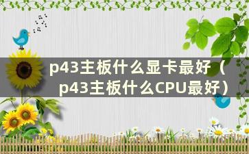 p43主板什么显卡最好（p43主板什么CPU最好）