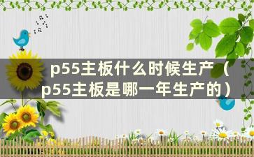 p55主板什么时候生产（p55主板是哪一年生产的）