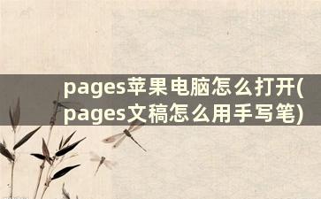 pages苹果电脑怎么打开(pages文稿怎么用手写笔)