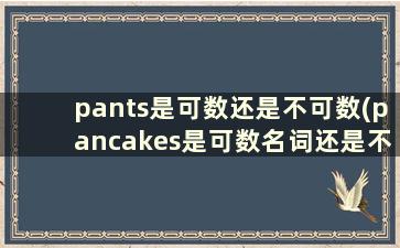 pants是可数还是不可数(pancakes是可数名词还是不可数名词)