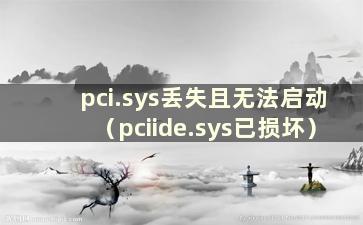 pci.sys丢失且无法启动（pciide.sys已损坏）