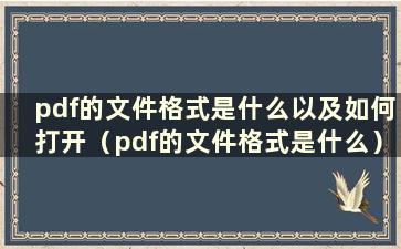 pdf的文件格式是什么以及如何打开（pdf的文件格式是什么）