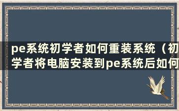 pe系统初学者如何重装系统（初学者将电脑安装到pe系统后如何安装系统）