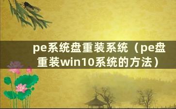 pe系统盘重装系统（pe盘重装win10系统的方法）