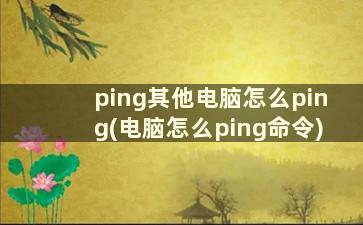 ping其他电脑怎么ping(电脑怎么ping命令)