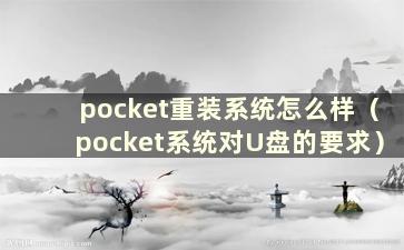 pocket重装系统怎么样（pocket系统对U盘的要求）