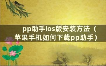 pp助手ios版安装方法（苹果手机如何下载pp助手）