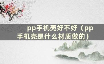 pp手机壳好不好（pp手机壳是什么材质做的）