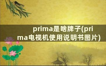 prima是啥牌子(prima电视机使用说明书图片)